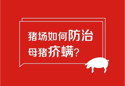 豬場(chǎng)如何防治母豬疥螨？